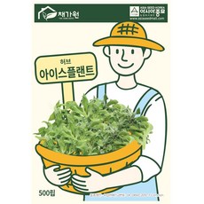 아시아종묘 씨앗 허브 아이스플랜트 500립, 1개