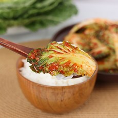 선김치 말바우시장 박인영 제철 봄동 겉절이 김치, 1개, 2kg