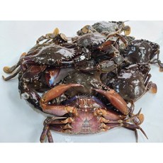 여수 급냉 돌게 1kg내외 / 7-15마리쯤, 1개, 1kg