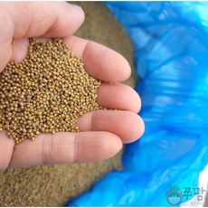 쭈팜 유기농 청차조 1kg 국산 기장쌀 햇 잡곡 차조, 1개