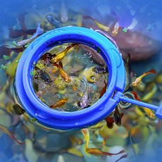 소소 물고기 피딩틀 어항용품