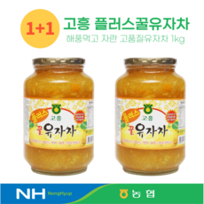 [1+1 농협] 고흥 꿀유자차 남쪽바다 해풍먹고 자란, 1개, 2개입