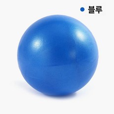 체육관 요가 공 운동 체조 필라테스 피트니스, 블루 에어 튜브 포함