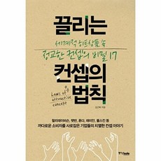 웅진북센 끌리는 컨셉의 법칙 세계적 히트상품 속 정교한 비밀 17, 상품명