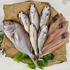 해찬 명품 세트 반건조 생선 선물세트 [참돔특대(45cm) 1미 수조기특대(55cm) 3미 백조기 대(26~29cm) 6미 박대 대(30cm) 3미, 1세트