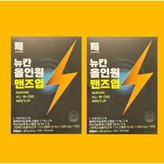 뉴칸 올인원 맨즈업, 300g, 2개