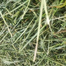 優質牧草 牲畜飼料 幫助消化, 1個