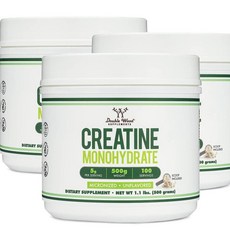 더블우드 크레아틴 모노하이드레이트 파우더 100회분 Double Wood Creatine Monohydrate, 500g, 3개