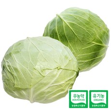 [울팜] 아삭 달달 국내산 친환경 양배추 무농약 유기농 제주 무안 밀양, 2kg, 1박스