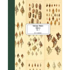 (영문도서) Vintage Prints: Shells: Vol. 7 Paperback, Createspace Independent Pub..., English, 9781727216141