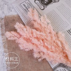 永生壽松染色蓬萊松聖誕松聖誕圈材料組：打造獨特風格的節慶裝飾, 粉橘色, 1個