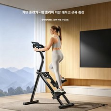 ROI라이프 스텝퍼 스테퍼홈클라이머 계단 천국의계단, 블랙, 기본 모델명/품번