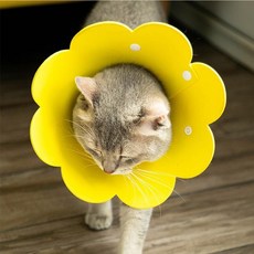 펫쉼 강아지 고양이 넥카라 반려동물 중성화 긁음방지, 펫 부직포 넥카라 옐로우, 1개