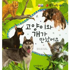 貓和狗相遇了, 韓國托爾斯泰