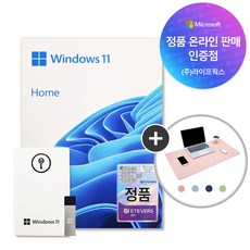 [한국정품인증점] 마이크로소프트 윈도우11 Home FPP 처음사용자용 정품인증키 USB 포함 MS Windows11 Home + 마우스 장패드, 윈도우11 Home (HAJ-00095 )