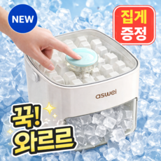 로라쉐 푸쉬 얼음 트레이 원터치 얼음틀 한번에쏙!, 1개, 크림아이보리