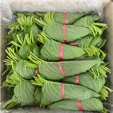 산지직송 당일수확 제철맞은 밀양 깻잎 500g 1kg, 1개