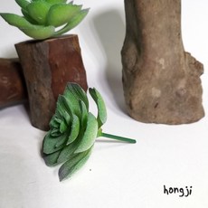 仿真多肉植物微景觀盆栽，P88假多肉，居家辦公室商店裝飾擺飾，生日禮物拍照道具木頭底座咖啡屋盆栽, 仿真多肉一只, F