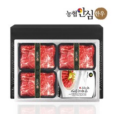 [농협안심한우] 1+등급 한우 불고기 양념 선물세트 1호 1.8kg, 1개