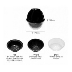 콩나물 키우기 키트 콩나물시루 수경재배 국내산콩포함, 콩나물 재배기 세트
