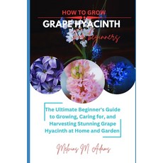 (영문도서)How to grow Grape Hyacinth flower for beginners: The Ultimate Beginner's Guide t... Paperback, Independently Published, English, 9798245246987 Independently Published, English, 9798245246987