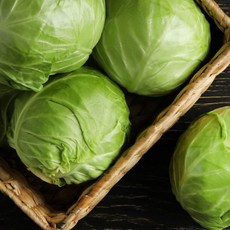 (신선집중) 싱싱한 제주산 양배추 3kg (3~7통)