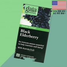 Gaia Herbs 블랙 엘더베리 추출물 일일 면역 및 항산화 지원 60 캡슐
