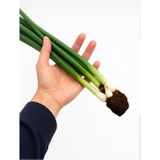 제주 쪽파 한단 흙쪽파 깐쪽파 1kg 실파 잔파, 1개