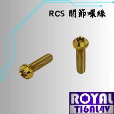 ROYAL RCS 關節螺絲 M6*25SF 鈦合金螺絲, 1個