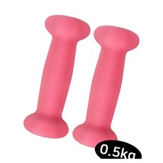 덤벨 0.5kg 2개 핑크 ER320-00513 운동용품 헬스아령 홈트아령