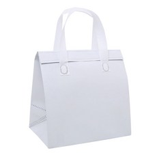 부직포 냉온 쇼핑백가방 화이트 소(24x24x15cm)ryu5+8UYv