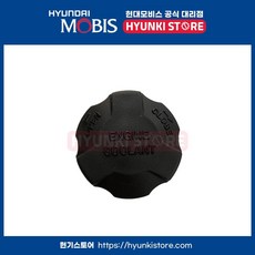 캡라디에이터 리저버 (2544126100), 호환 차종, 2544126100, 현대