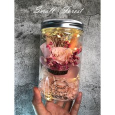 Small Forest 永生玫瑰花乾燥花 LED燈串 情人節聖誕生日婚禮禮物, 1個, 粉色永生玫瑰（含燈串）