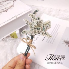 迷你乾燥花小花束，精緻小巧，持久綻放，點綴您的生活空間, 白色水晶草