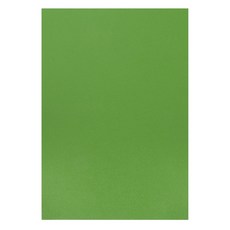 정재단가죽 30X40CM 모음, 03. 앱송, 그린빈