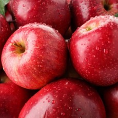 산지직송 청송 영주 사과 2.5kg 5kg 가정용 선물 고당도 이랜드 팜앤푸드 471220, 영주 가정용 사과 2.5kg 9-11입