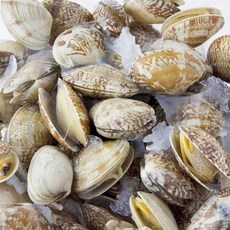 훈훈수산 간편 손질 자숙피바지락 500g+500g (1kg), 2개