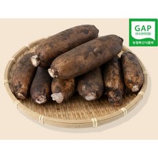 오빠연근 반야월 찰땅 찰연근 특품 연근, 1박스, 특품 연근 1kg