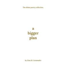 (英文圖書)A Bigger Plan 平裝版, Indie Earth Publishing, 英文