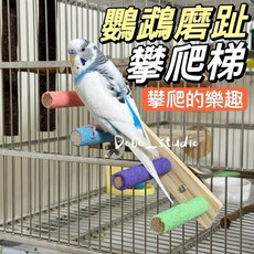 鸚鵡磨趾攀爬梯 鸚鵡磨砂棒 耐久磨爪棒 站棍 休息站棍 鸚鵡遊戲站架, 1個, 四階花椒木