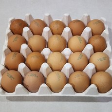 혜문잡화상점 난각번호2번 계란 유정란 60구 황동유정란 달걀 계란한판 업소용계란 자연방사계란