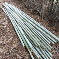 대나무 길이3M 대나무울타리 대나무펜스 대나무인테리어 대나무장대 대나무판매, 중간대A 1묶음