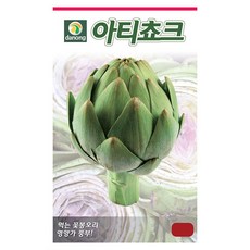 다농 아티쵸크 씨앗 5g 아티초크씨 그린글로브 희귀 약초 종자, 2개