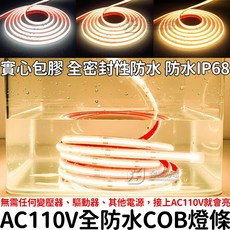 仟尚電商 防水110V COB燈條 免變壓器 實心包膠高壓燈條 IP68防水 (10米/20米/30米/100米), 1個, １１０Ｖ免驅動ＣＯＢ包膠防水燈條／自然白,１０米【10公分電線／單頭】
