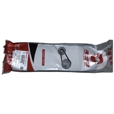 SYM 三陽 原廠傳動皮帶 FBG蜂鳥適用, 1個, 23100-FBG-000