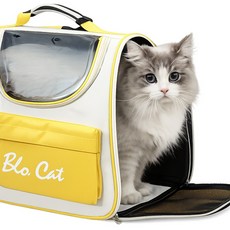 강아지이동가방 고양이 강아지백팩 캐리어 이동장 산책가방