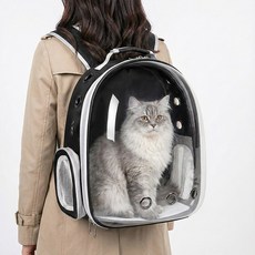 푸키 반려동물 투명 이동가방 우주선 백팩, 1개, 블랙 1개, 블랙