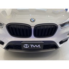 台灣之光 全新 F48 X1 15 16 17 18 19年 雙線 雙槓 全黑 消黑 霧黑 鼻頭組 水箱罩 中網, 1個