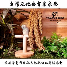 悠悠寵物 台灣在地天然小米穗 鸚鵡零食, 1個