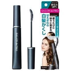 살롱드프로 새치커버 마스카라 워터프루프 4종 15ml, 내추럴블랙, 1개